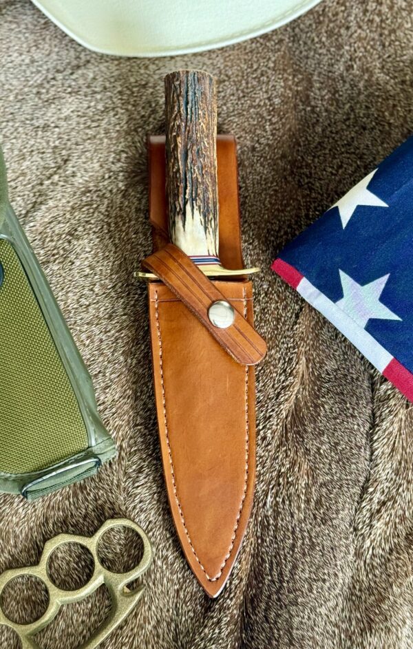 Dagger- stag - Image 4
